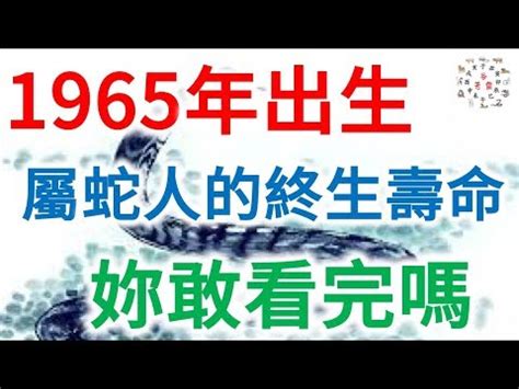 1965五行